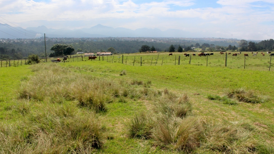 Commercial Property for Sale in Hansmoeskraal A H Western Cape